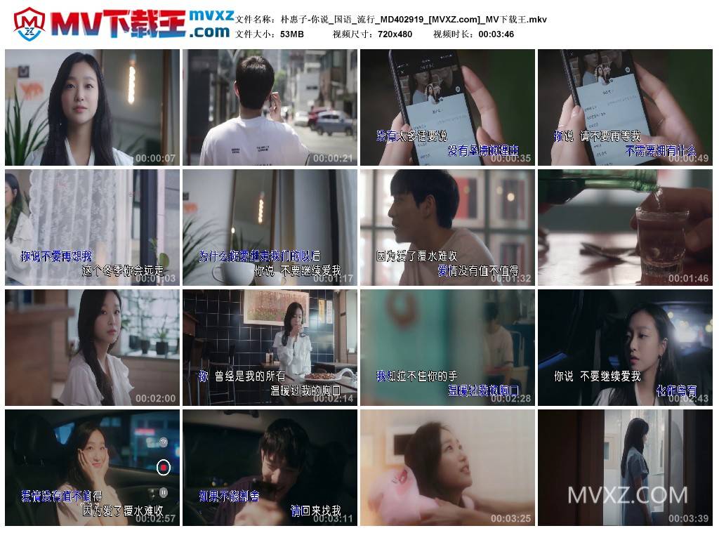 朴惠子-你说_国语_流行_MD402919